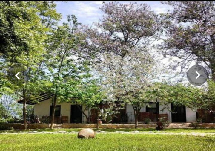 Likya Saklibahce Hotel เคมาร์ ภายนอก รูปภาพ